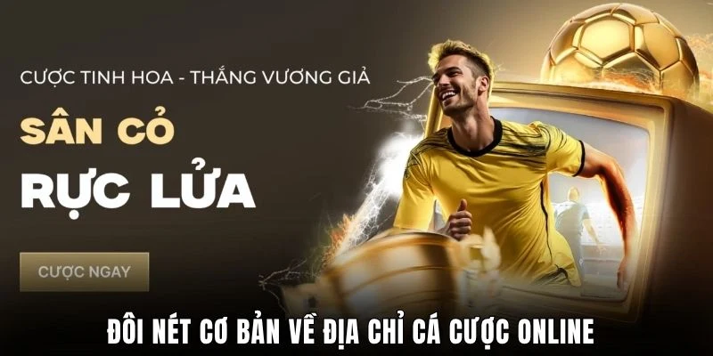 Đôi nét cơ bản về địa chỉ cá cược online