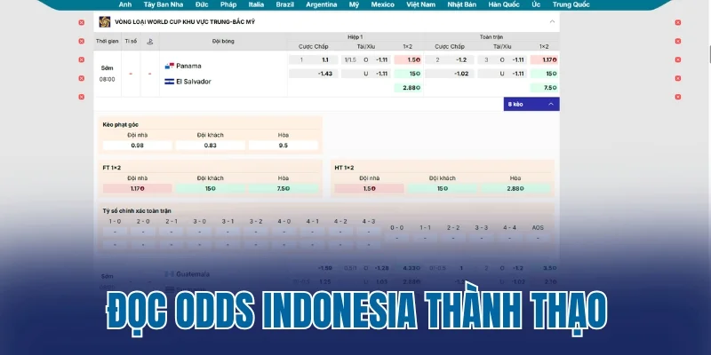 Đọc odds Indonesia thành thạo